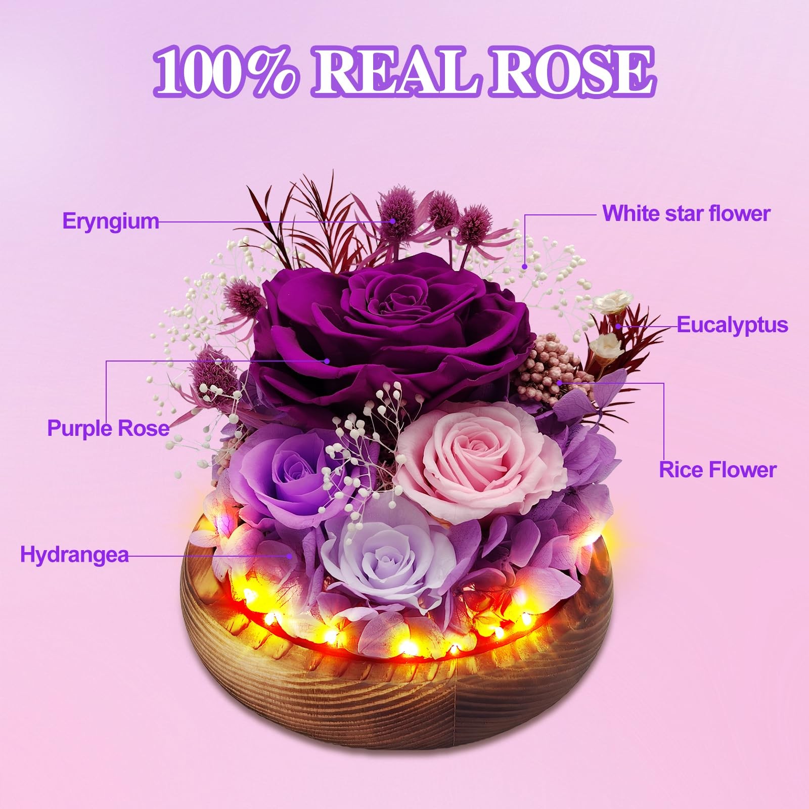 Eascor Preserved Rose Forever Flowers in Glass Dome Gifts for Women,