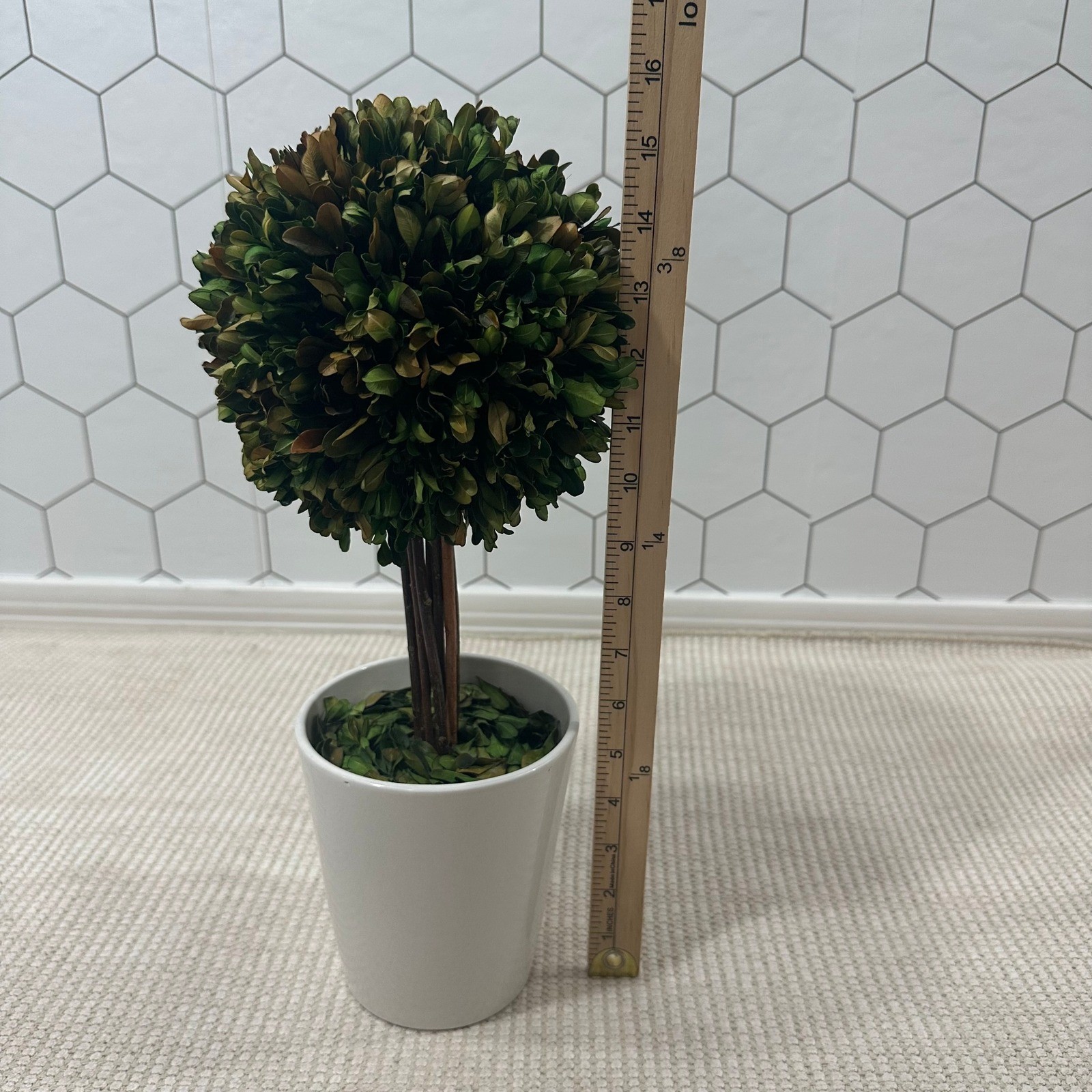 Preserved Boxwood Topiary Ball in White Ceramic Pot 16 Inch Faux Greenery Decor