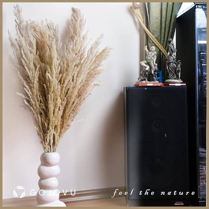 Pampas Grass Decor Tall 45 Inches 10 Stems of Dried Large Pampas Grass No Stench