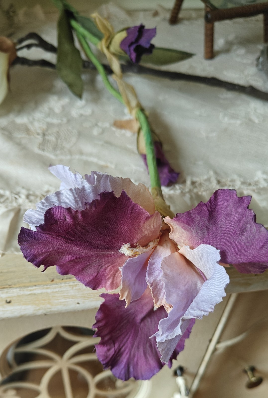 2 Large Stemmed Stems Iris And Magnolia Realistic