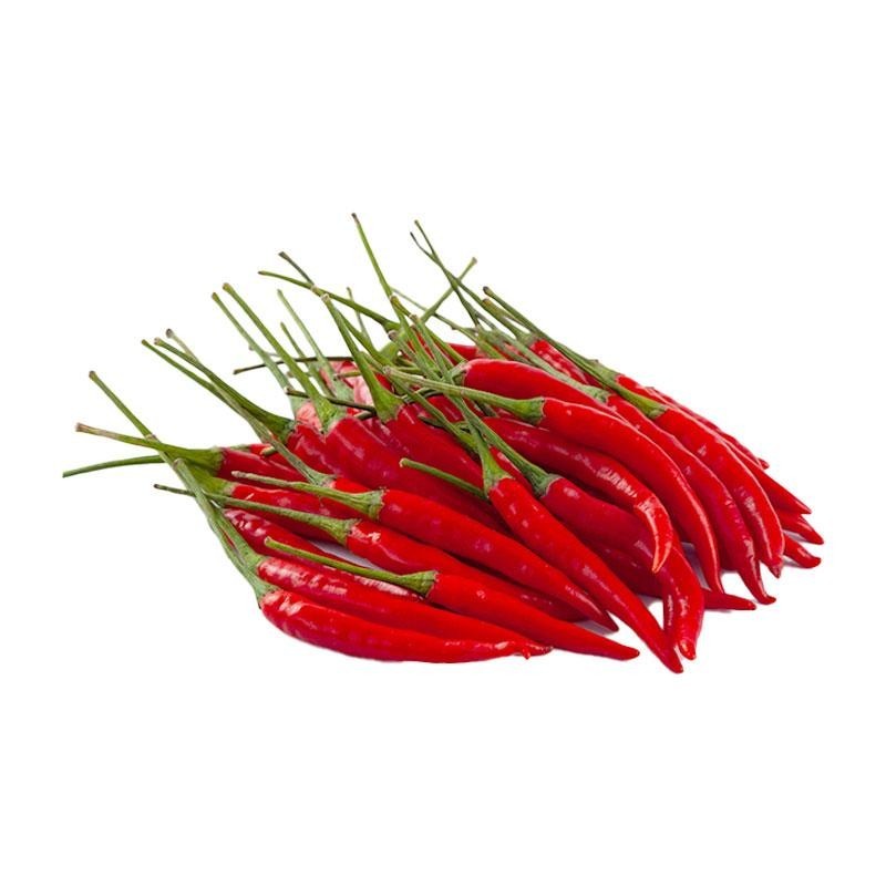 Thai Hot chili pepper Red Heirloom Spicy Asian Cuisine Bangkokx5