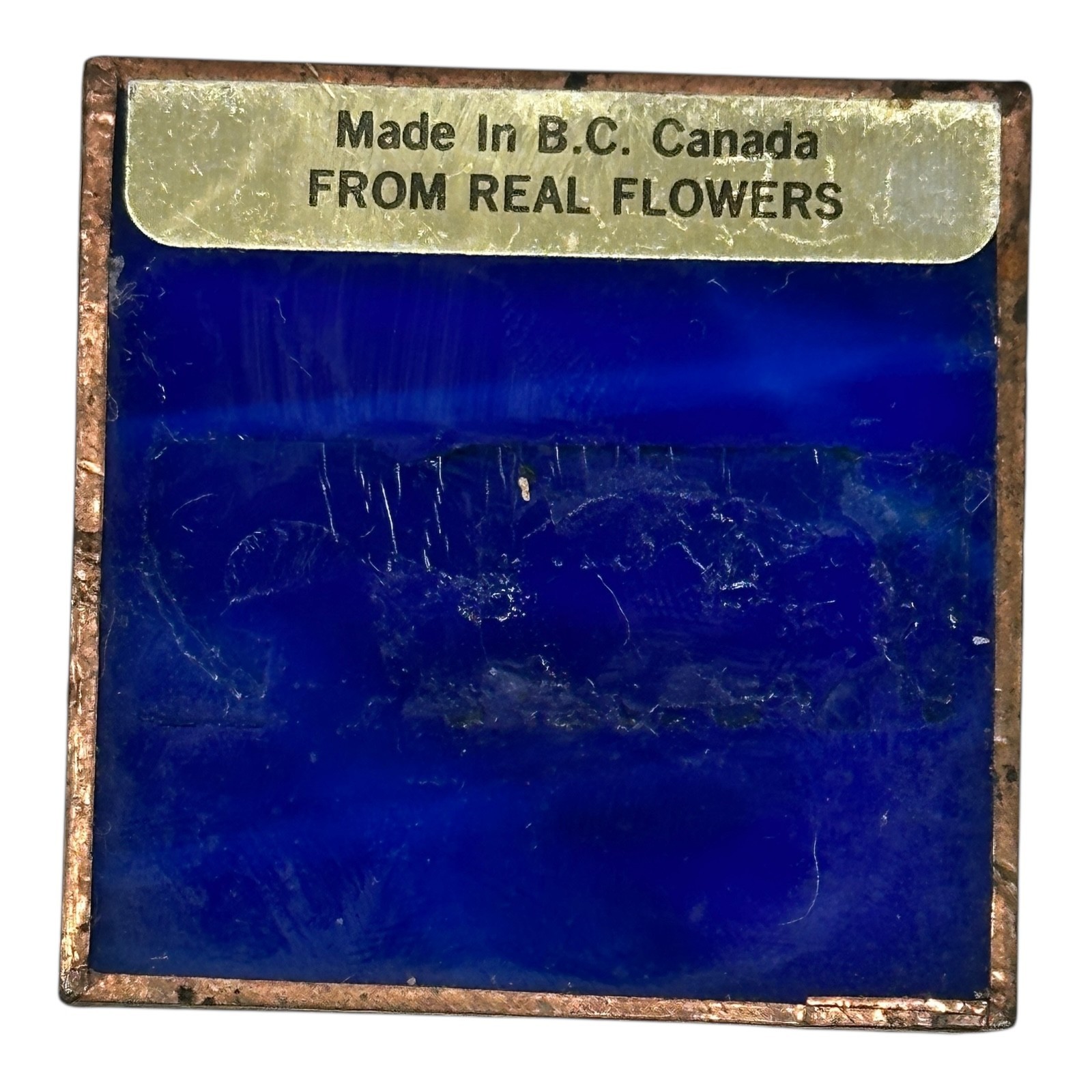 Vintage 70s BC Canada Pressed Flower Fused Glass Tile Cobalt Copper Frame 1½”