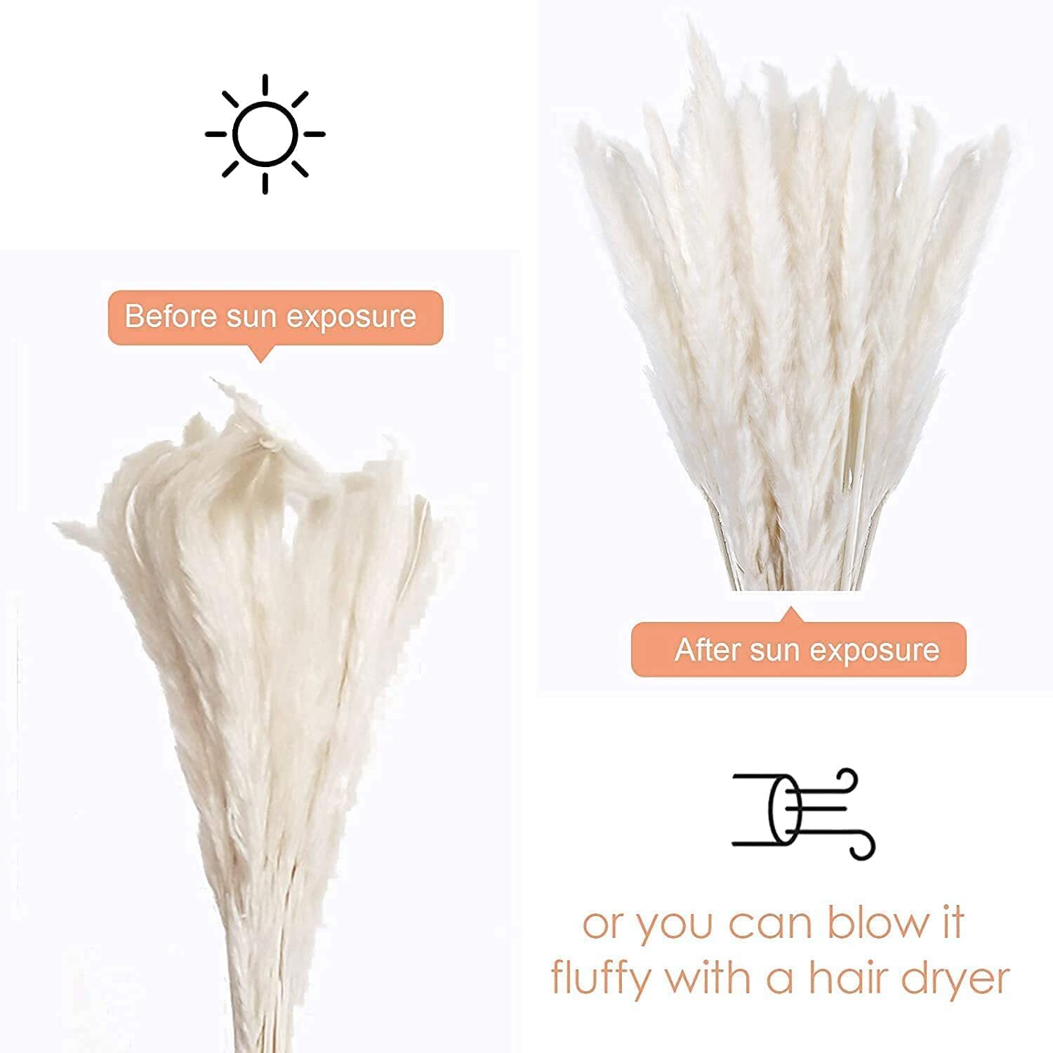 60 Pcs White Pampas Grass 17 inch/45 cm Natural Dried Pampas Grass Branches D…
