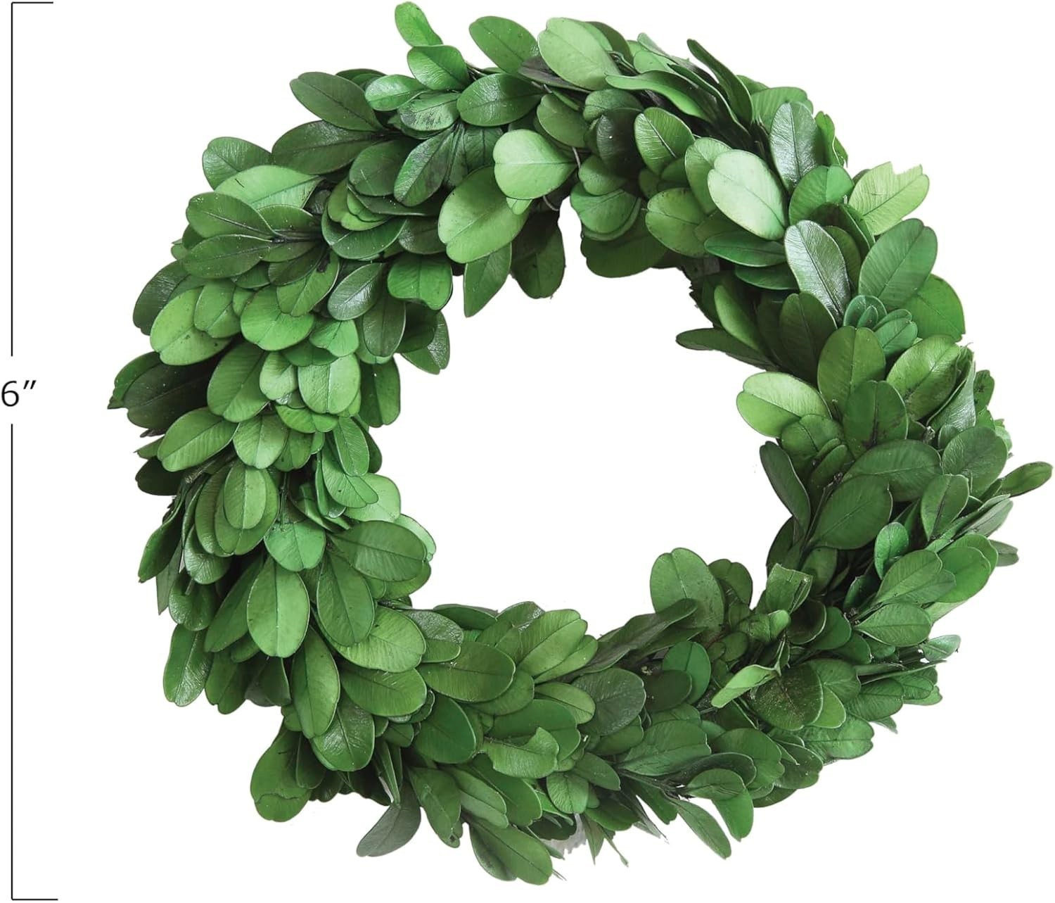 Preserved Boxwood Wreath Indoor Organic Greenery AccentSmall 6
