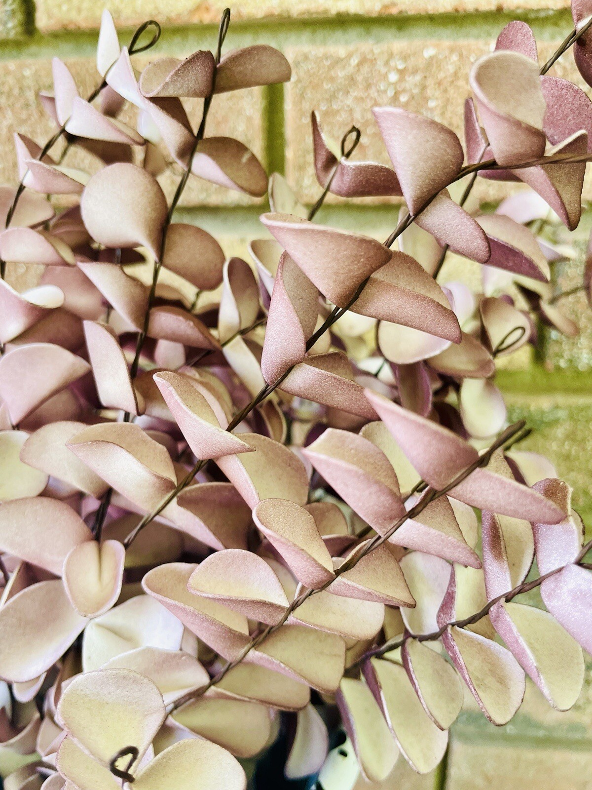 Burgundy Fall Ombré Eucalyptus Leaf Spray, 22”
