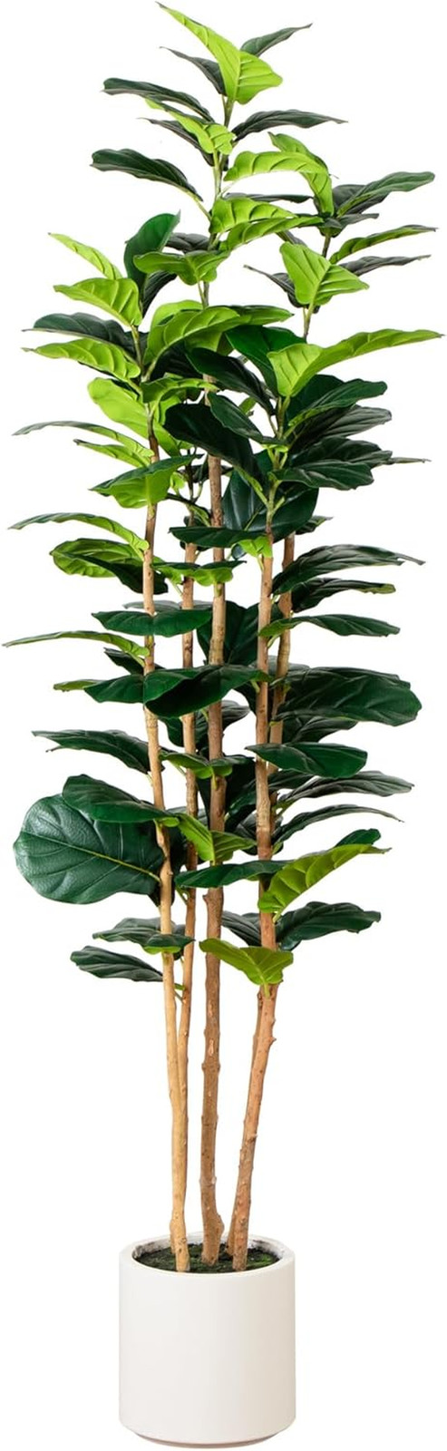 7Ft Artificial Fiddle Leaf Tree in Stylish White Planter –