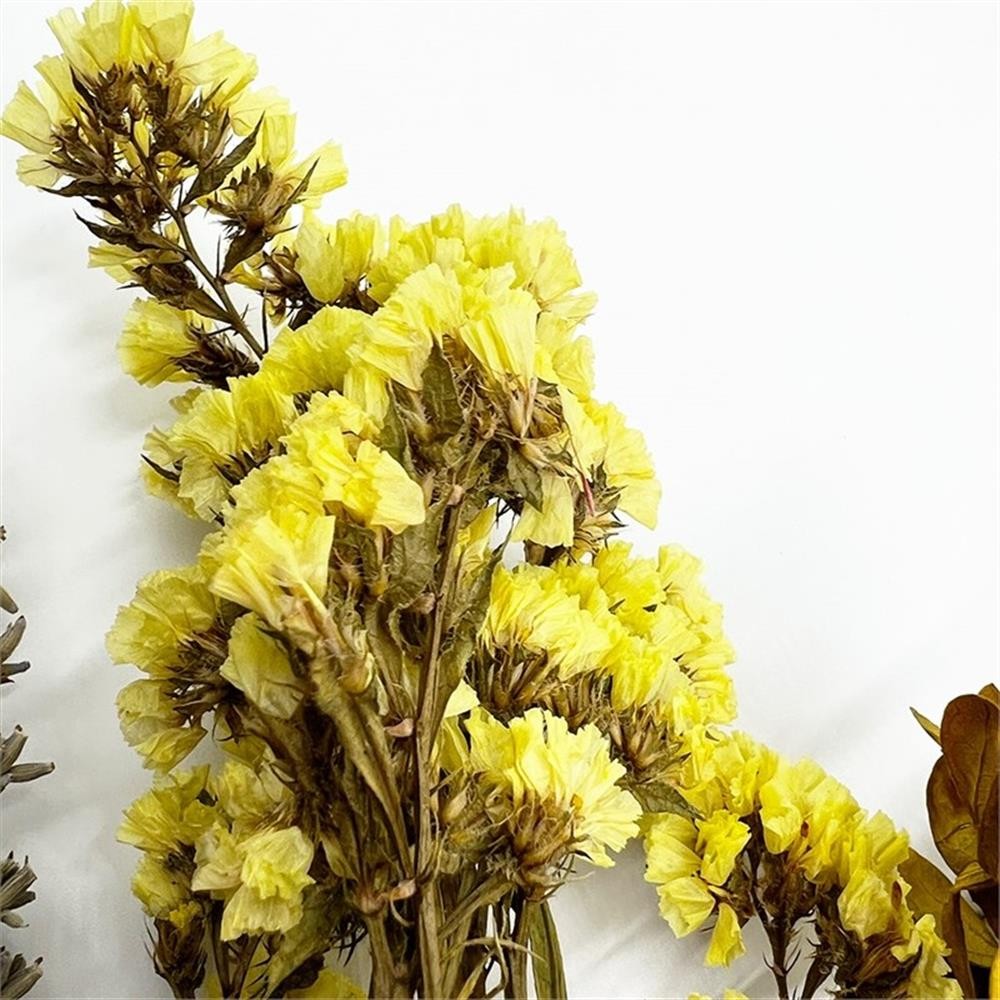 Pemberly Row 10-inch High Real Preserved Mixed Bouquets in Small Size