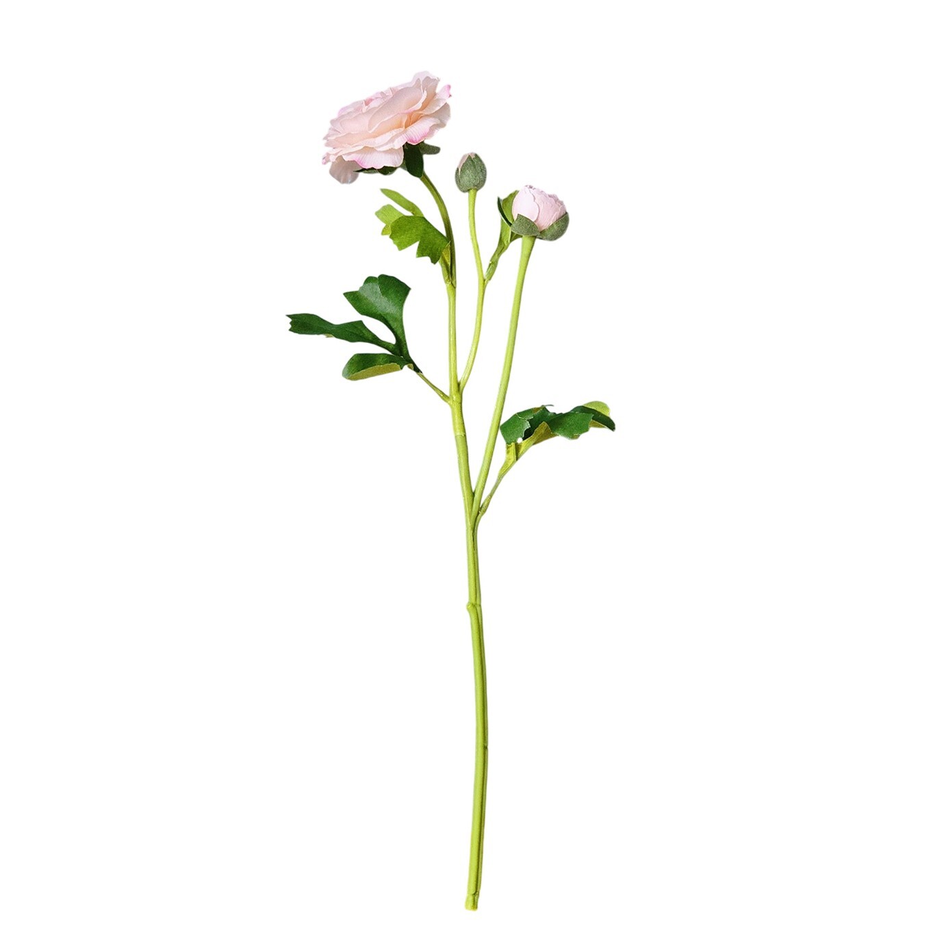 10PCS ranunculus bouquet, each featuring one open bloom and one bud.