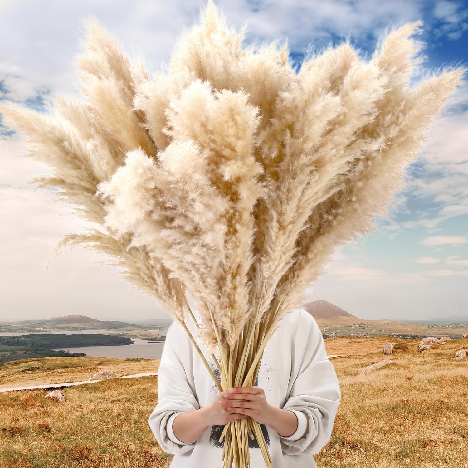 40Pcs 46 Inch Fluffy Tall Pampas Grass Home D�cor For Arrangements/Floor Vase