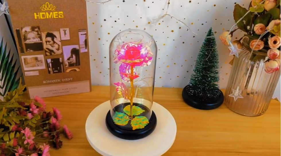 Valentine’s Day Rose Gifts, Colorful Rose in a Glass Dome Valentine’s Day Gifts
