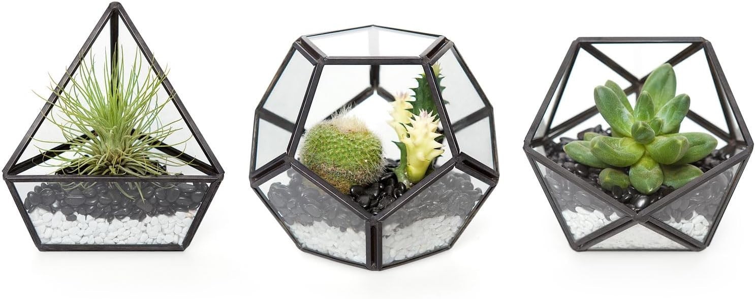 Mkono 4 Inches Mini Glass Geometric Terrarium Container Set of 3 Black New