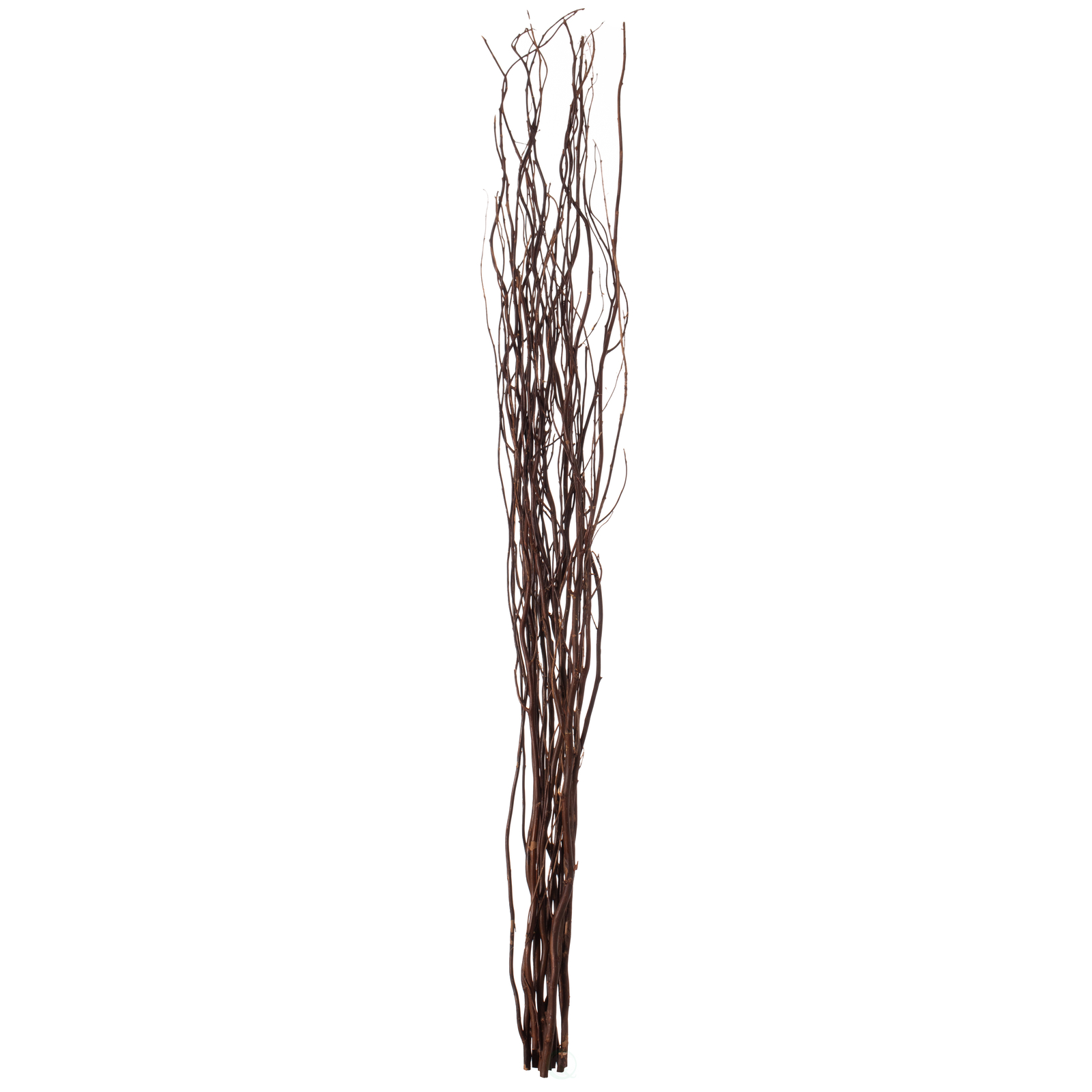 Decorative Dry Branches Authentic Willow Sticks for Home Decoration, Vase Filler