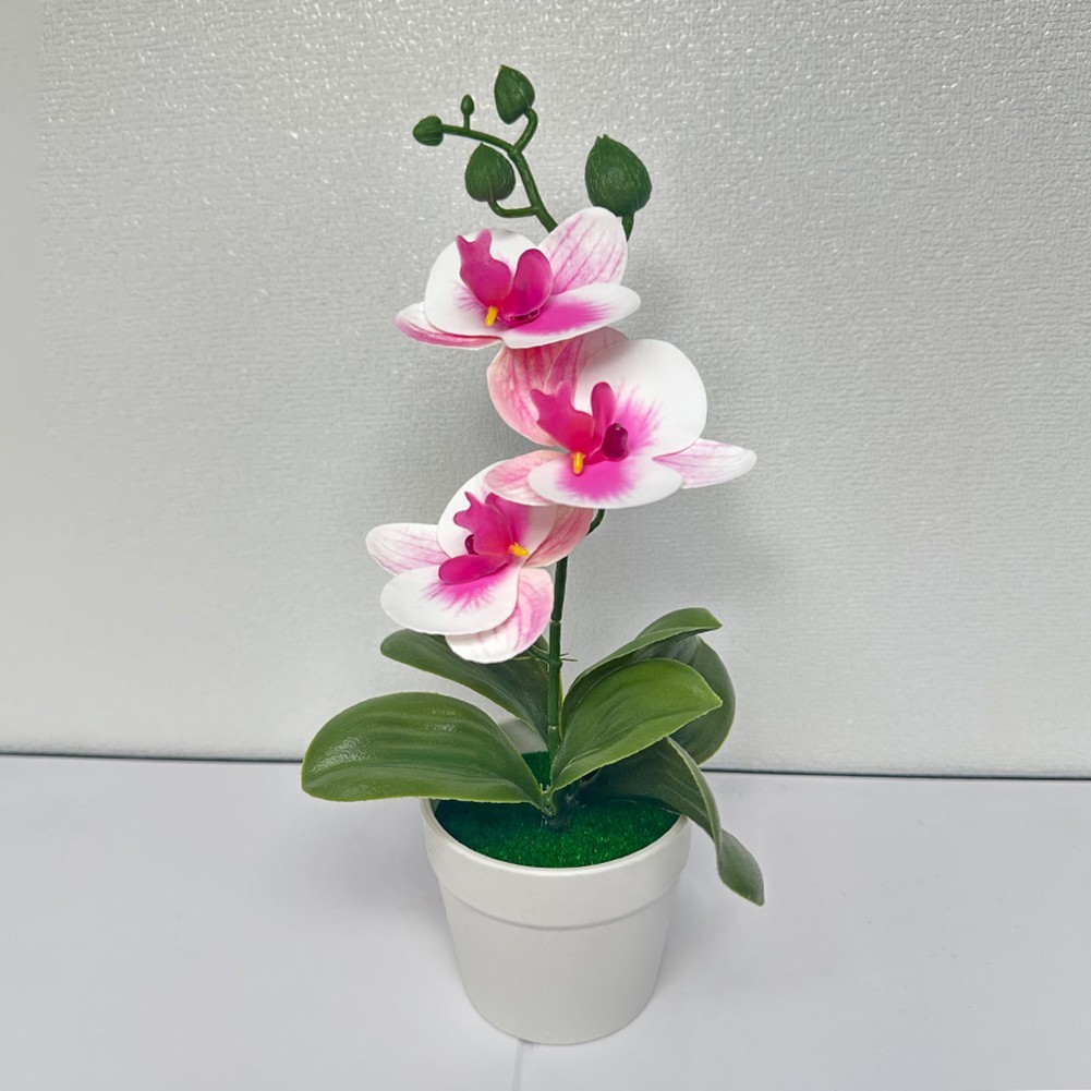 Phalaenopsis Bonsai Decorative Faux Plant Table Decoration Long-lasting Beauty