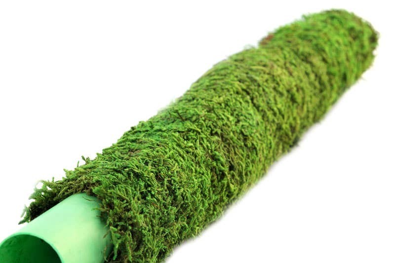 SuperMoss 24″ Moss Pole Forest Green Plant Support Monstera Philodendron