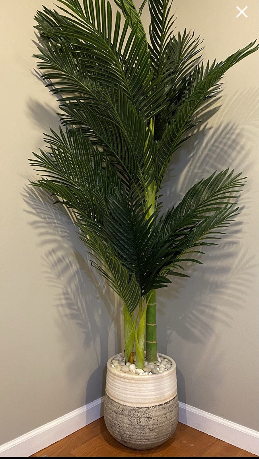 6.5′ Double Trunk Golden Cane Artificial Palm Tree Home Decor.