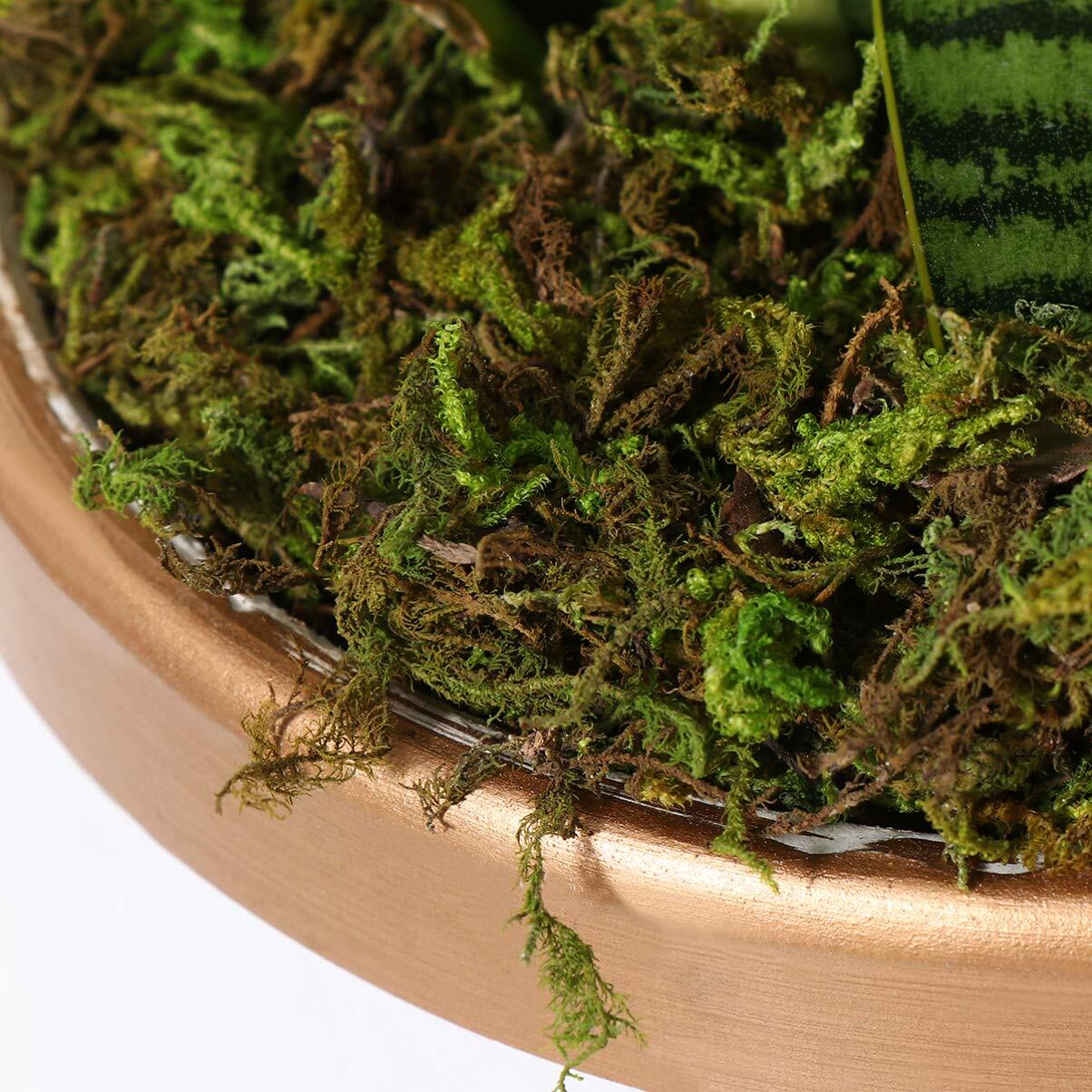 1 Pack Artificial Moss Fake Lichen Simulation Green Faux Pot Moss for DIY Min…