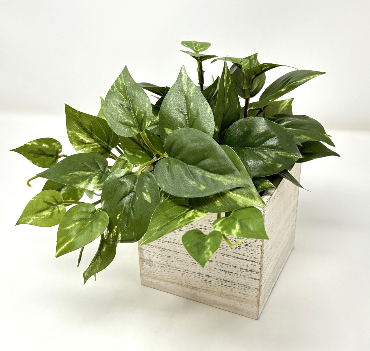 8″ Potted faux Green-White Variegated Pothos Vine Silk plant in White wood box,