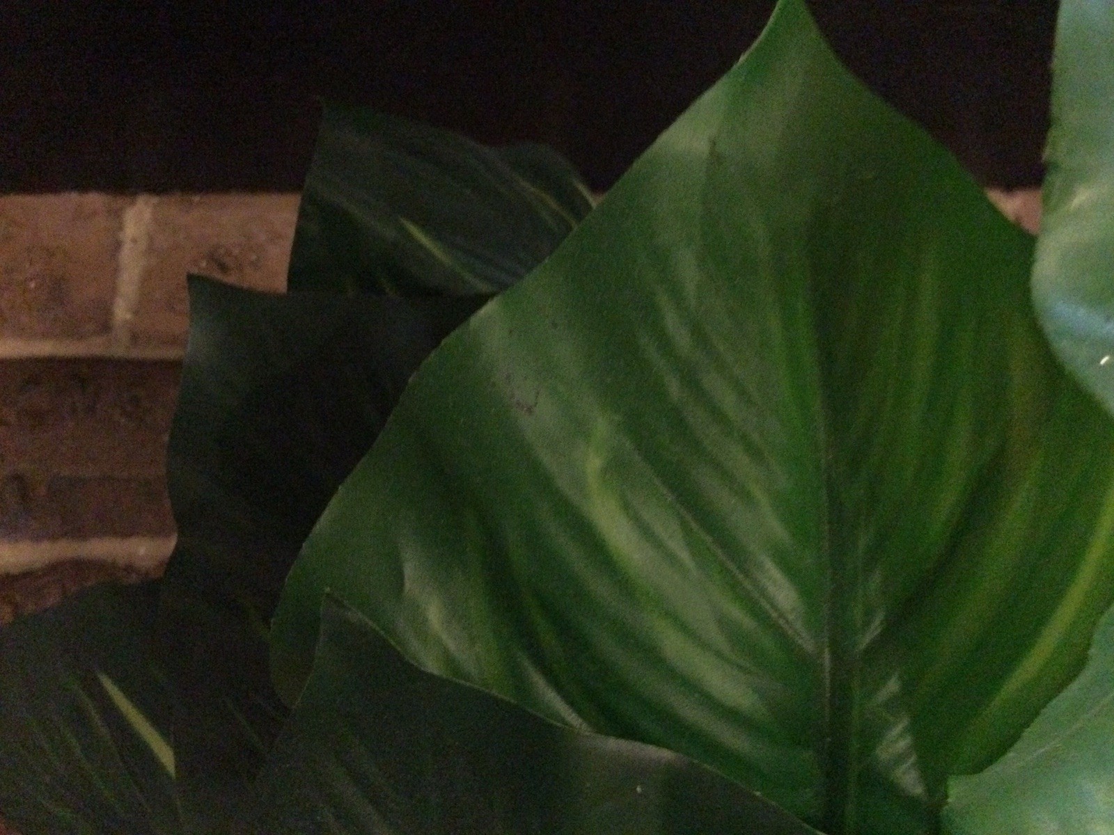 2 Small Artificial Fake Faux Plants➕Pots➕Stones 🌱Monstera➕Apple Leaf 📏16” Tall