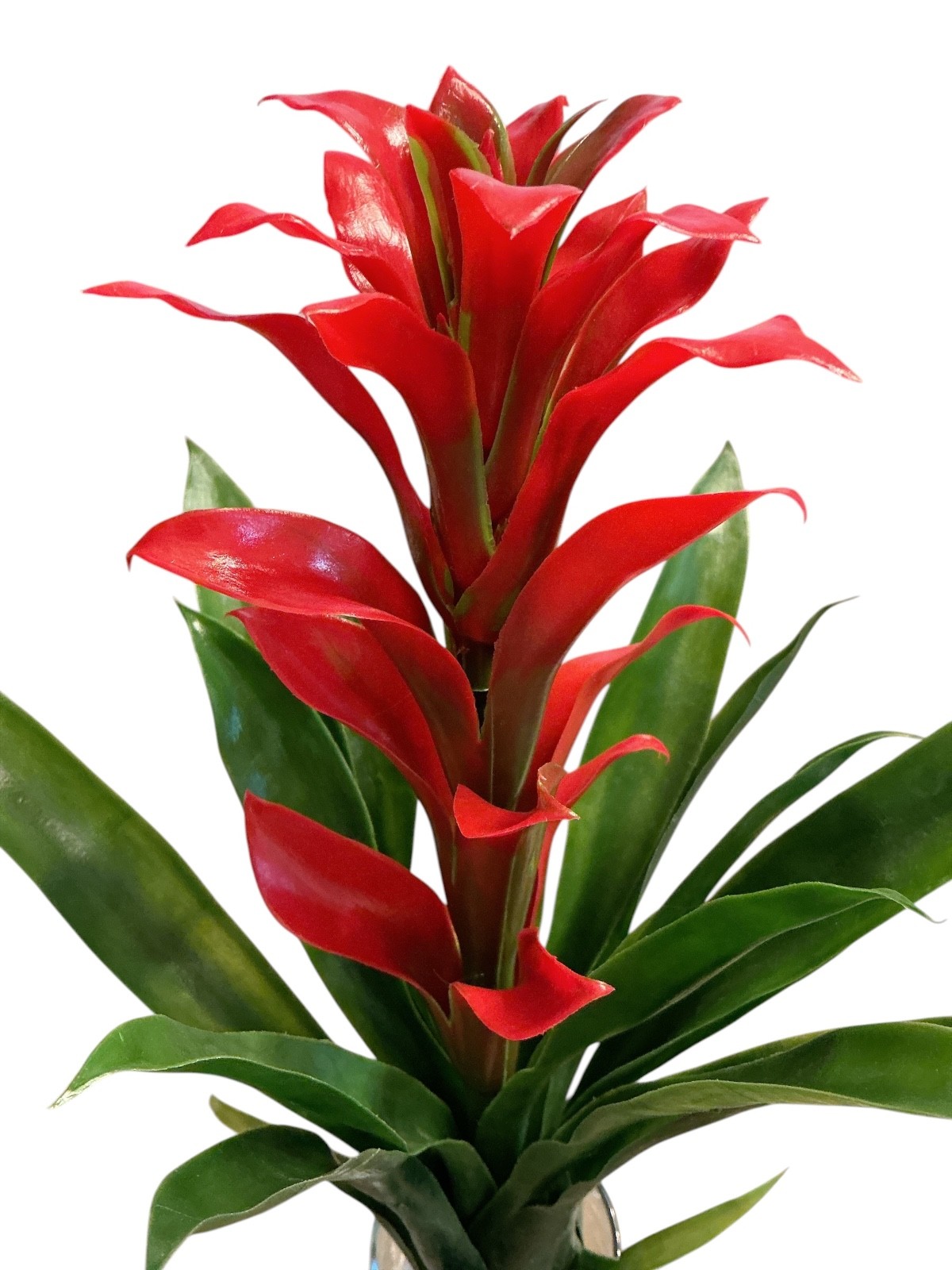 10” Bromeliad faux Flower Stems Red Green Leaves Natural Set Of 4