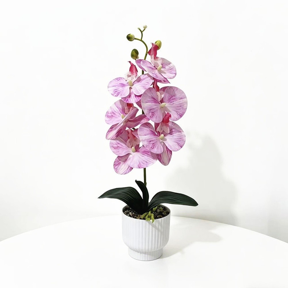 42cm Phalaenopsis Orchid Fake Flower Plastic Stem with Natural Texture
