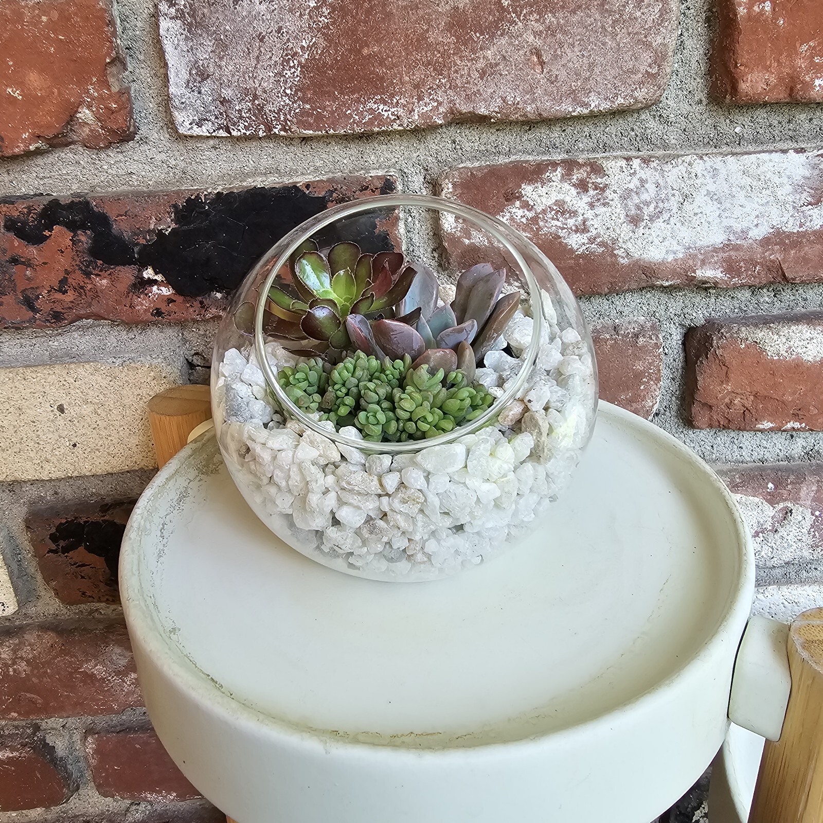 DIY Succulent Arrangement in Glass Bowl with Decorative Pebbles | Perfect Indoor