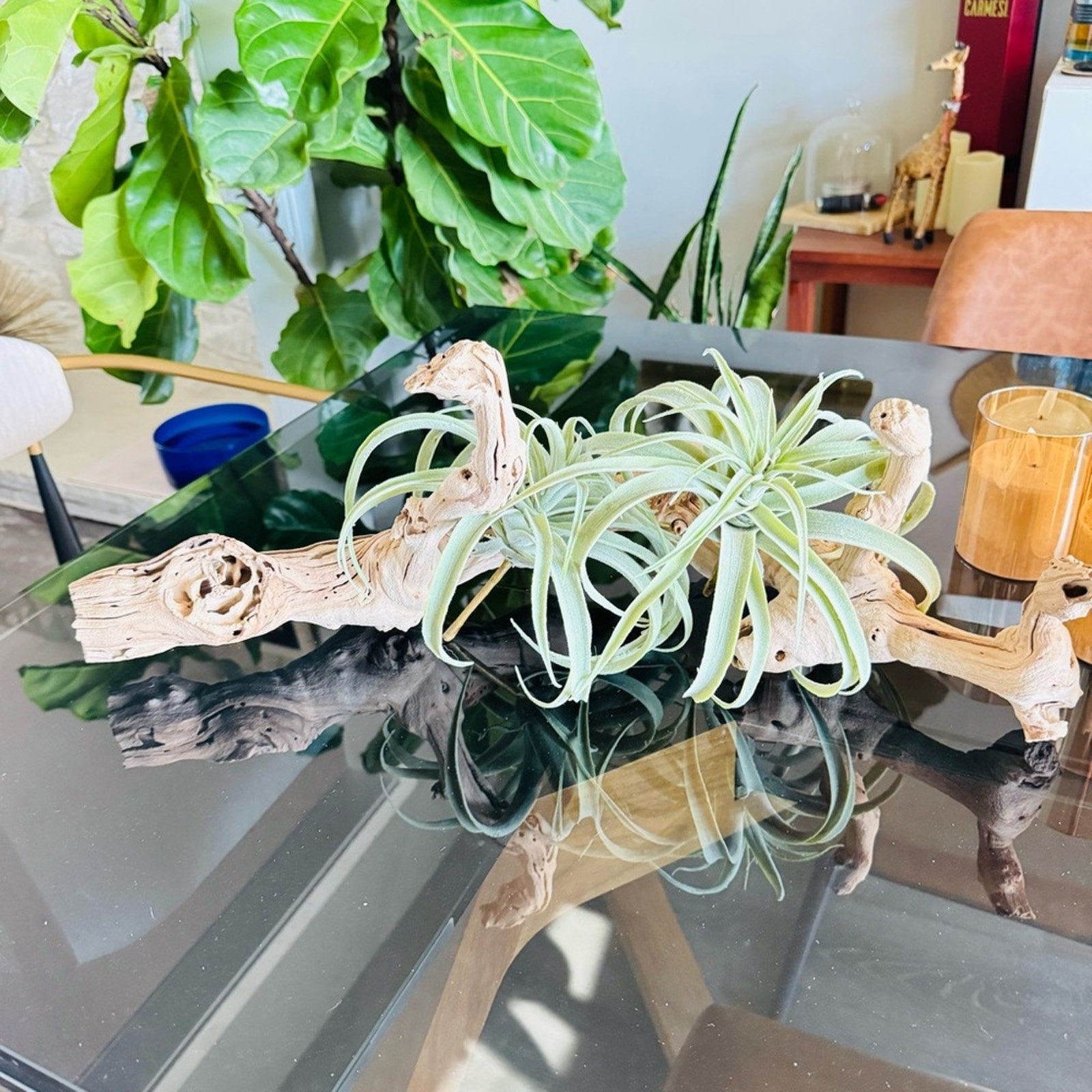 NEW POTTERY BARN Soft Mint Green Faux Air Plant Tillandsia Table Decor Display