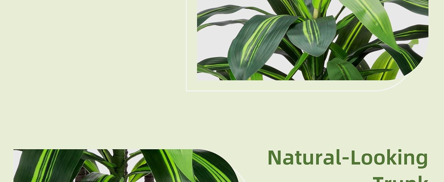 Artificial Dracaena Tree 5FT – Faux Plant with Black Diamond Planter – Tall Fake
