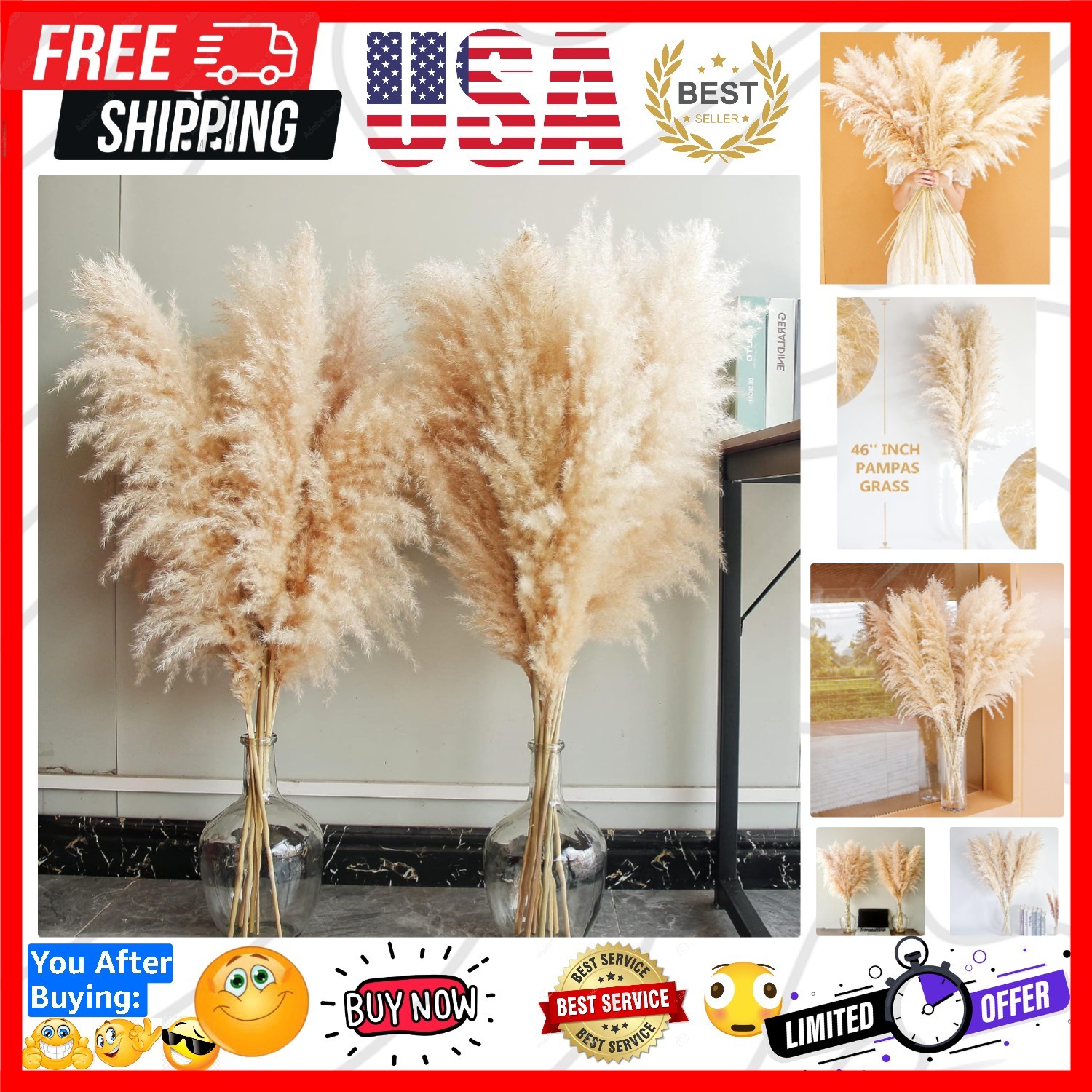 40″ inch 10 Stems Natural Pampas Grass Decor Tall, pompas Grass, Tall Pampas …