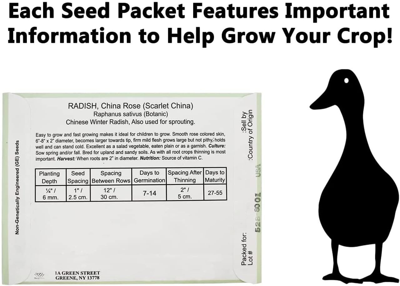 Bulk Forget Me Not Flower Seed Packets 50 Green Seed Packets for Planting