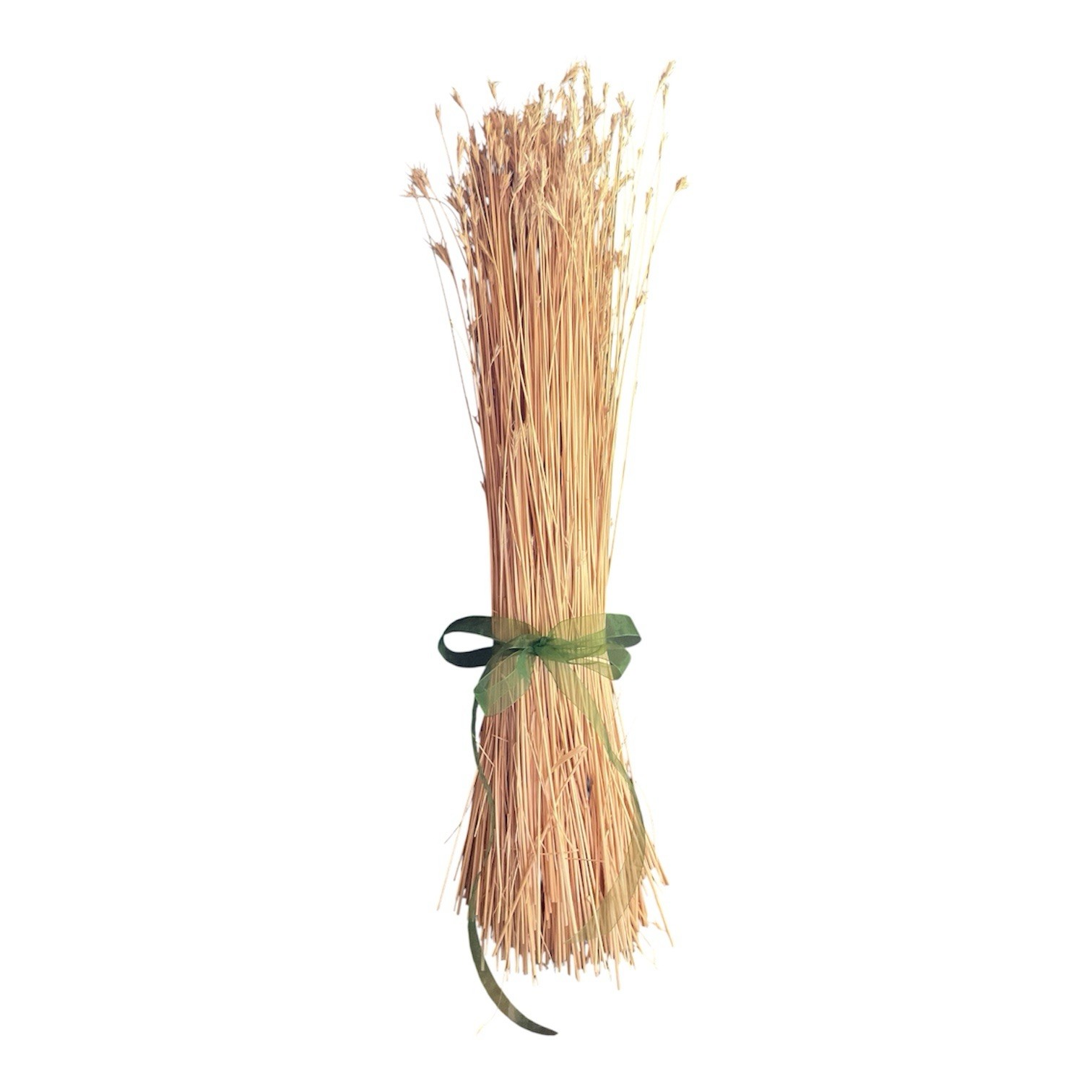 Dried Foxtail Grass Bundle: Rustic Floral Arrangement Supply in Natural Color