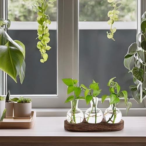 Desktop Plant Propagation Station Glass Planter Terrarium with Medium Brown