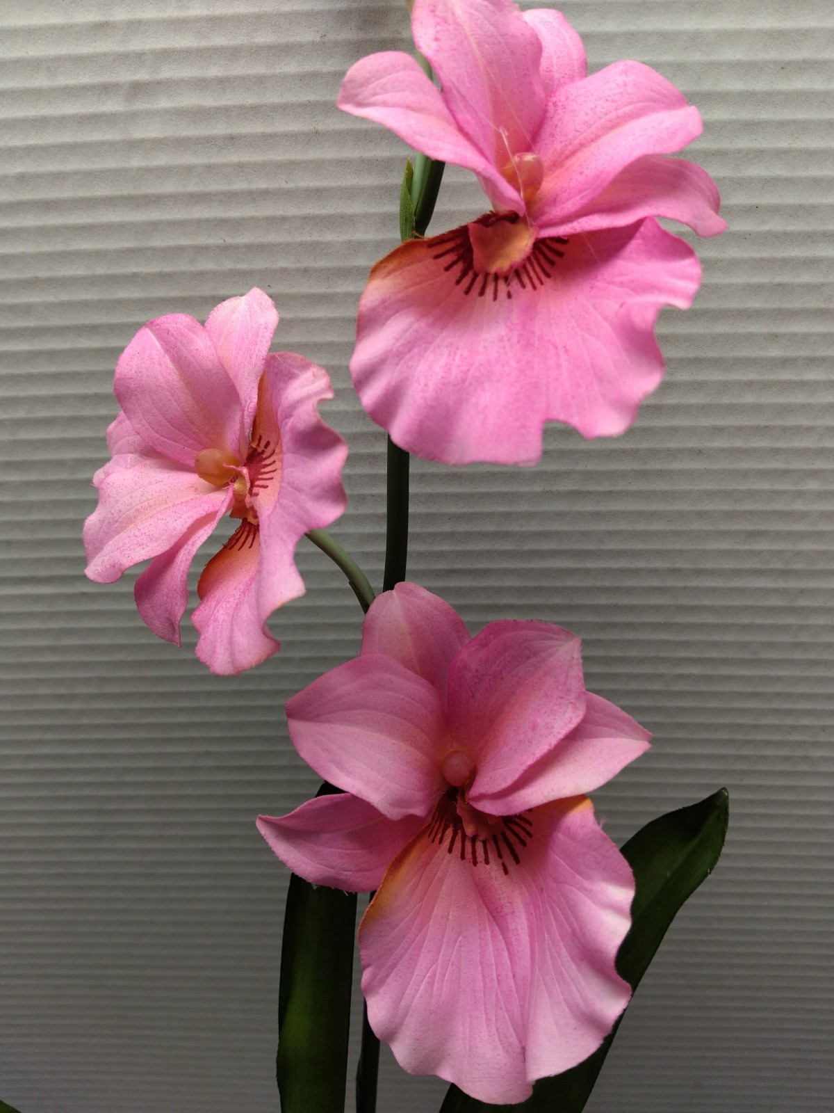 ARTIFICIAL miltoniopsis orchid plant