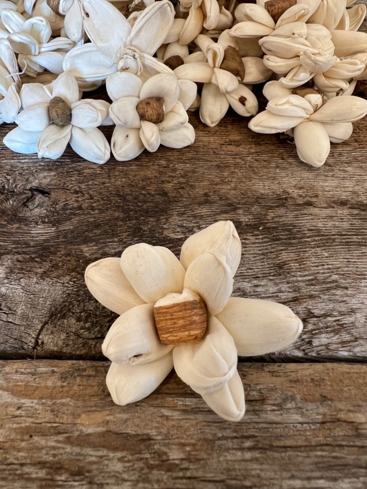 Mini Bark Daisy Sola Wood Flowers – Set of 50 – Craft Flowers