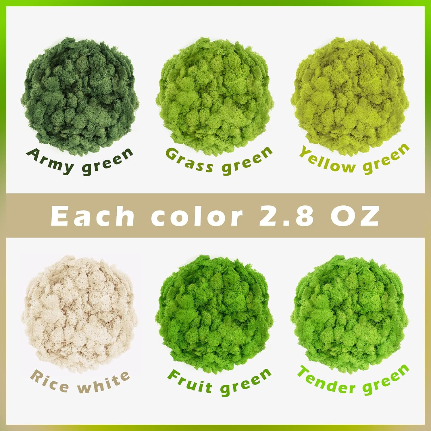6 Colors Preserved Moss-16.9 OZ Natural Reindeer Moss-Moss for Crafts, Potted Pl