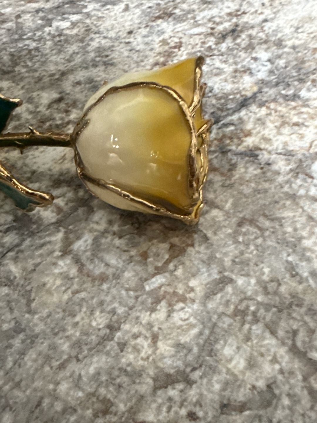 24K Gold Dipped Cream and Yellow Lacquered Real Long Stem Rose