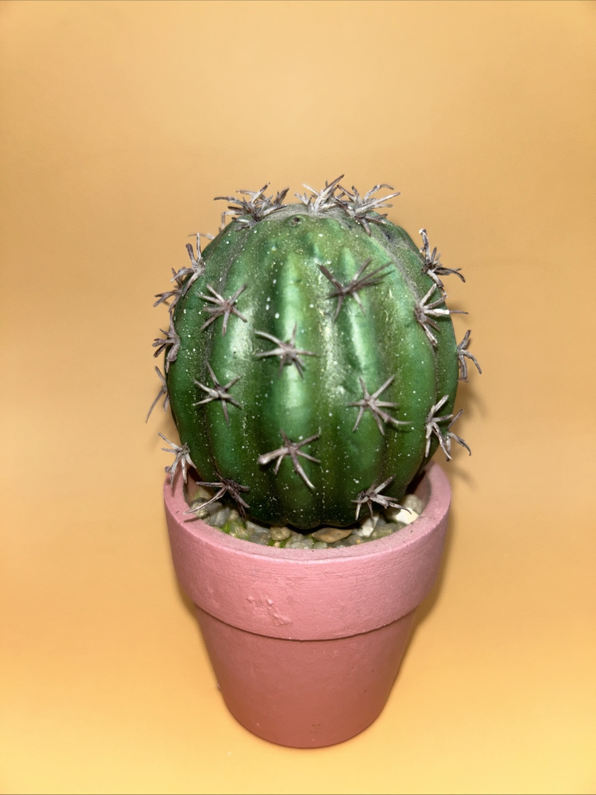 5- Artificial Cactus/ Succulent Plants 5”Tall, Terra Cotta Pots. Realistic