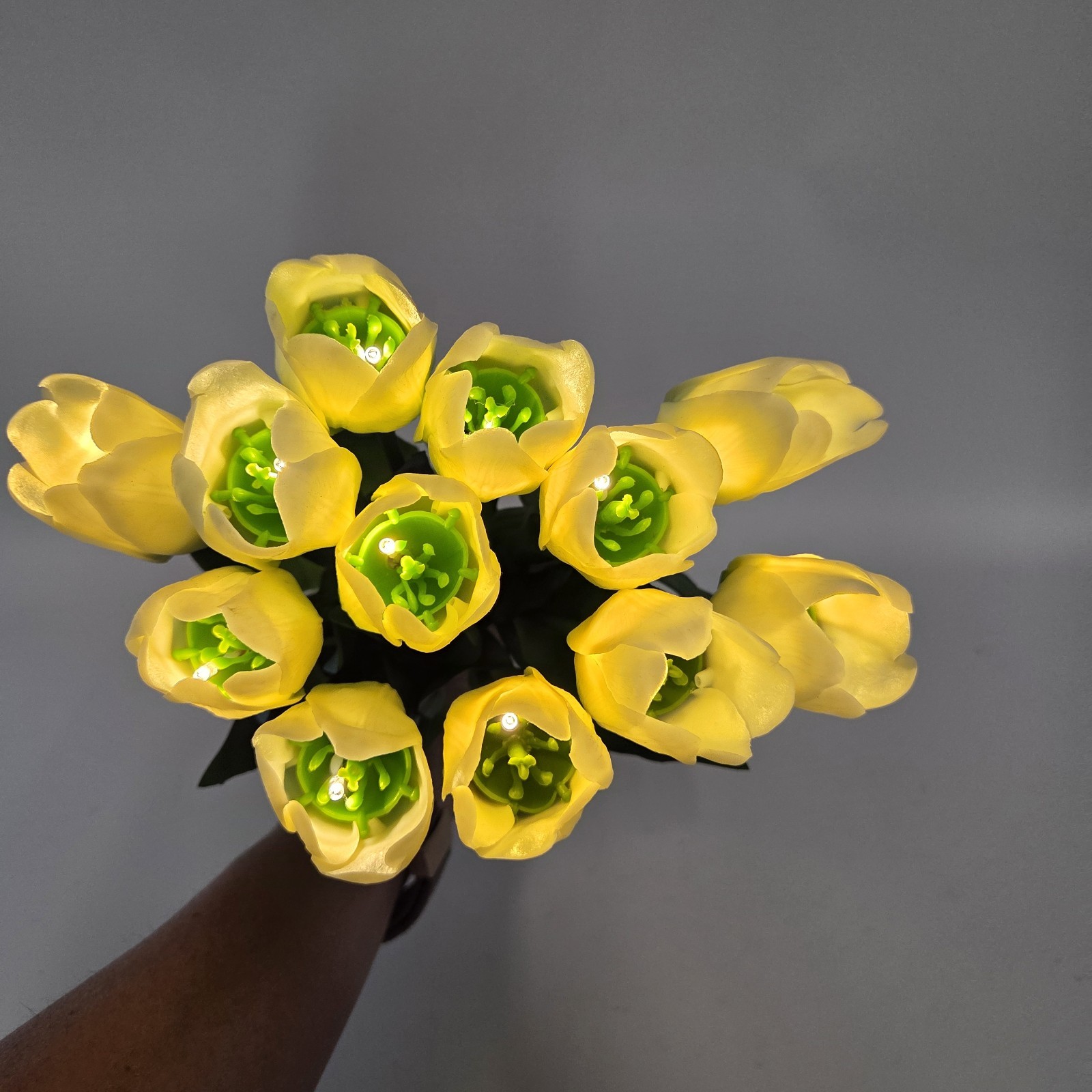 Illuminated Flowers Tulips Bundle Battery Operated Barbara King