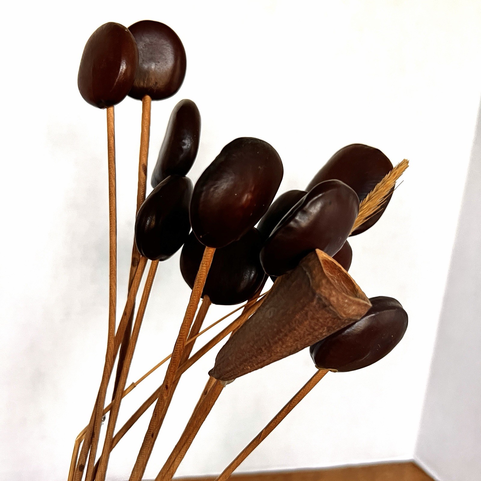 Wood Seed Pods W/Stem (11x) For Floral Arrangements Vases Decor MCM
