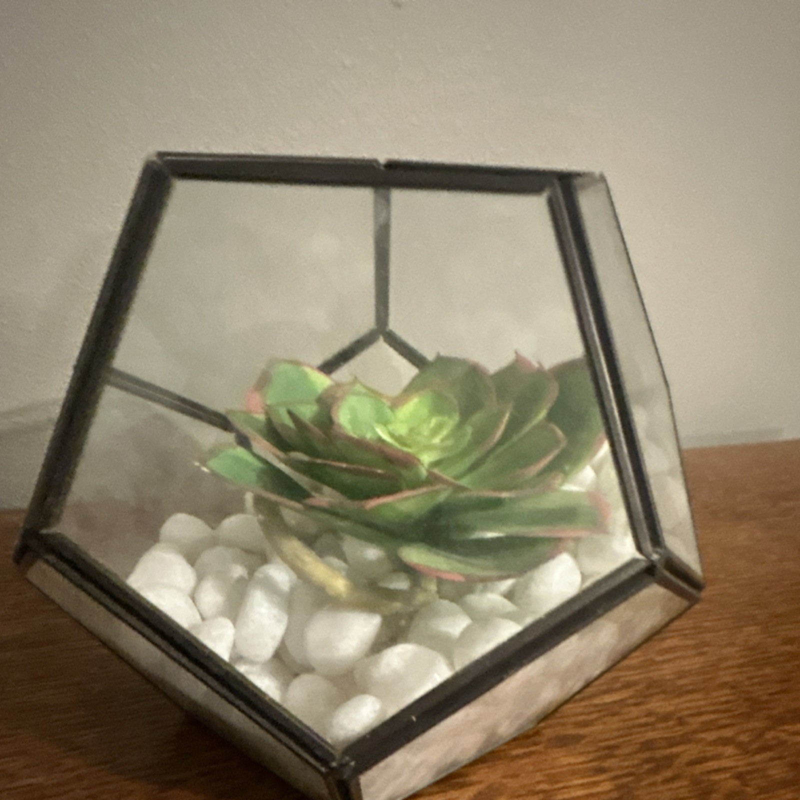 Geometric Glass Terrarium, Artificial Succulent and White Stone centerpiece