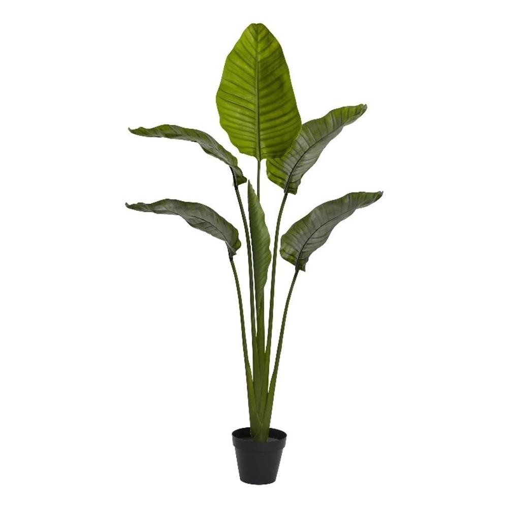 Pemberly Row Indoor/Outdoor 60″ Travelers Palm Tree UV Resistant – Green/Black