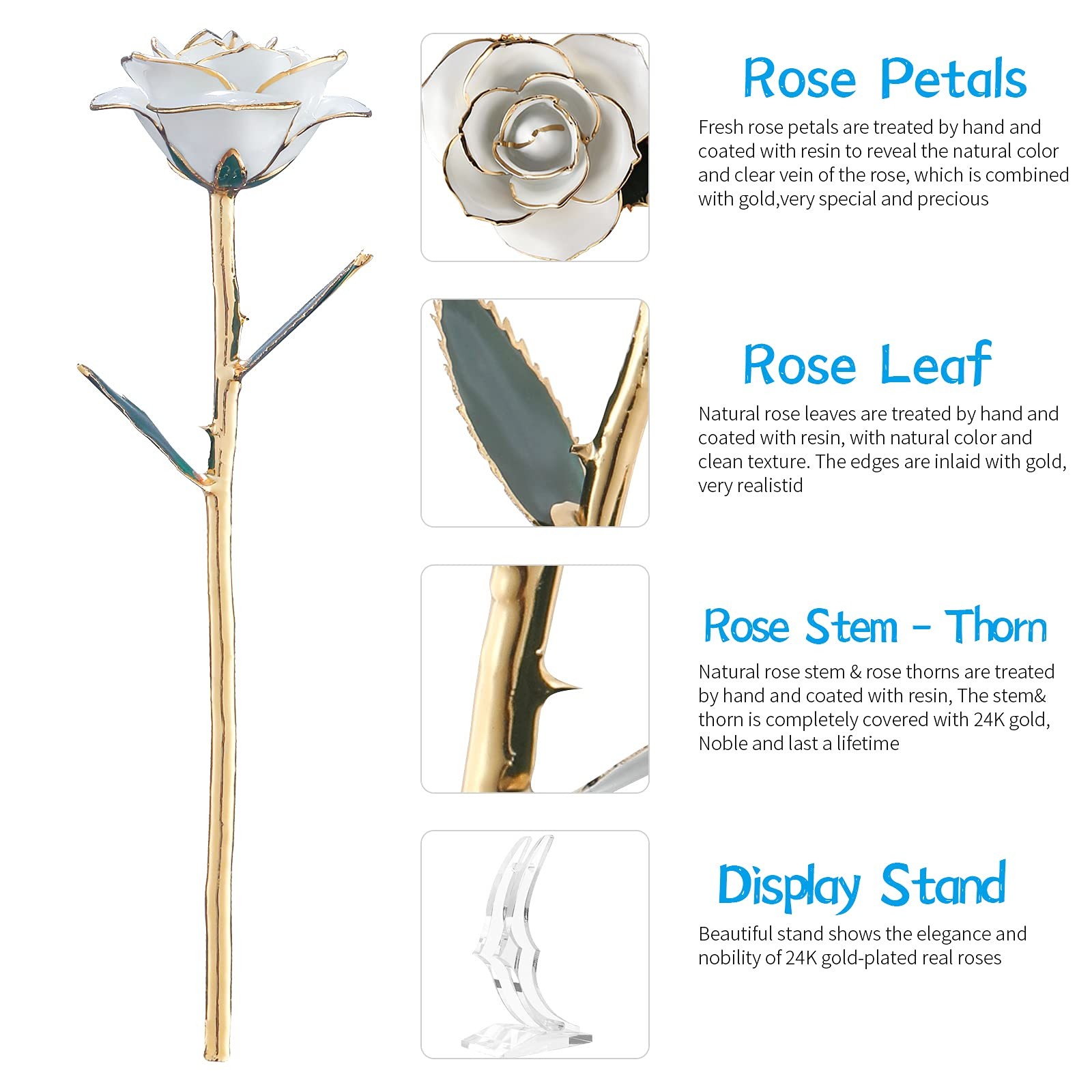 SW White Gold Rose Gifts for Women,24k Gold Dipped Real Rose Lasted Forever with