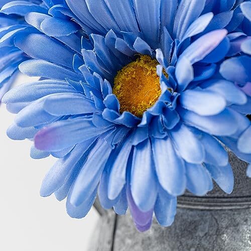 Artificial African Daisies Flowers African Daisy Silk Flowers 10 Blue