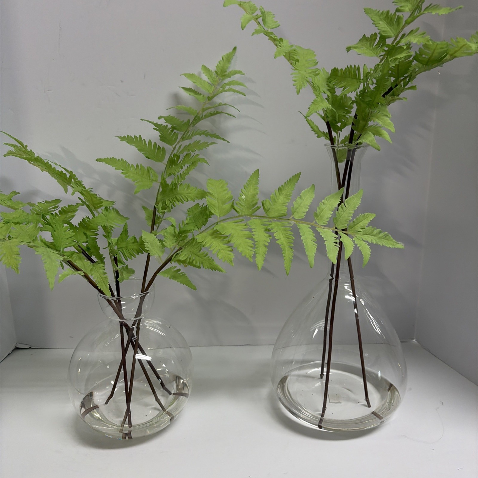 Uttermost Country Ferns and Glass Vases (Set of 2)
