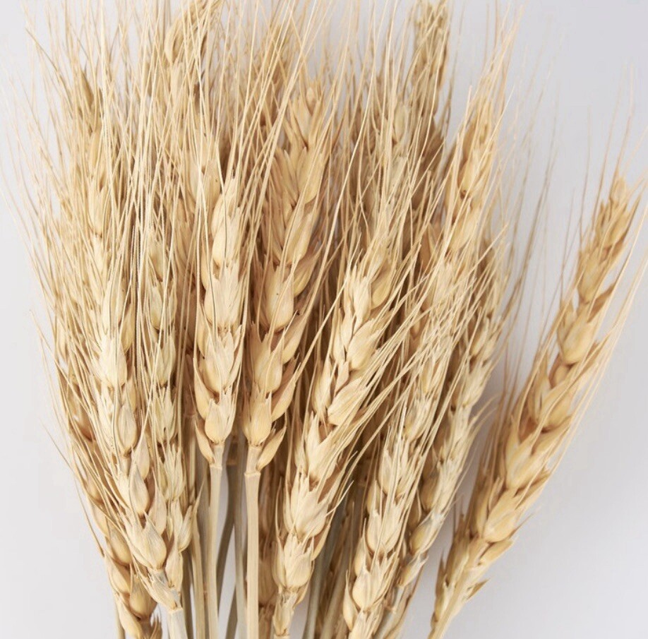 Wheat Bundle Bouquet
