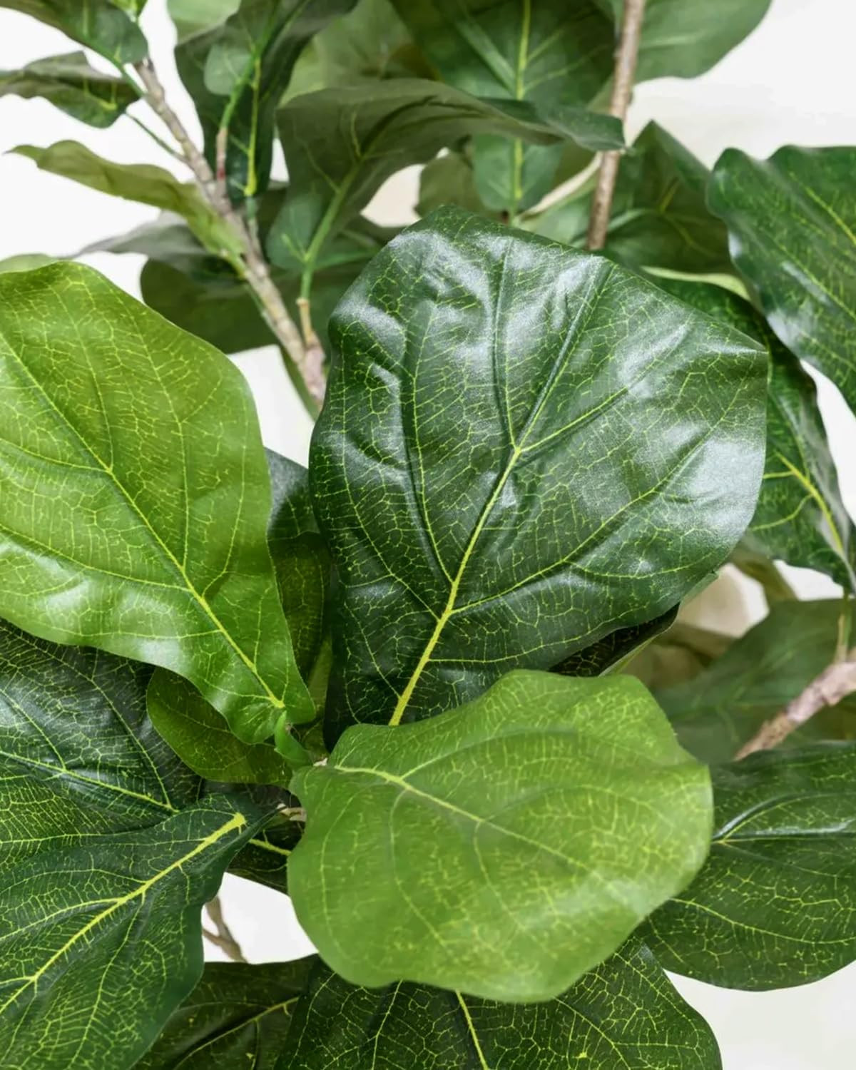 Artificial Fiddle Leaf Fig Tree 6FT – Large Fake Tree with White Planter&Basket,