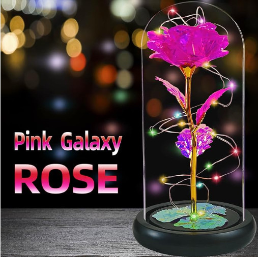 Valentine’s Day Rose Gifts, Colorful Rose in a Glass Dome Valentine’s Day Gifts