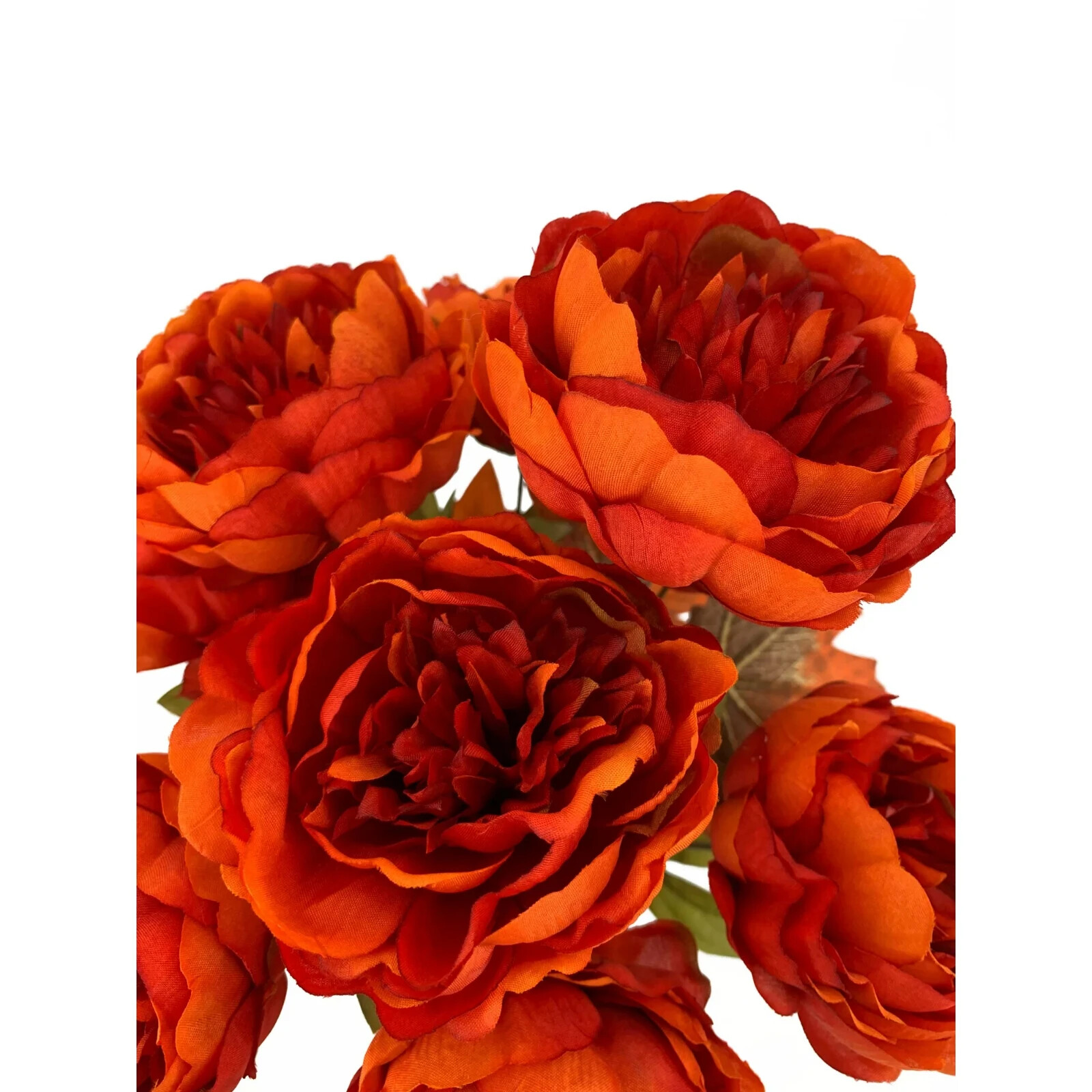 Mainstays Fall Feature Dark Orange Peony Bush 16″