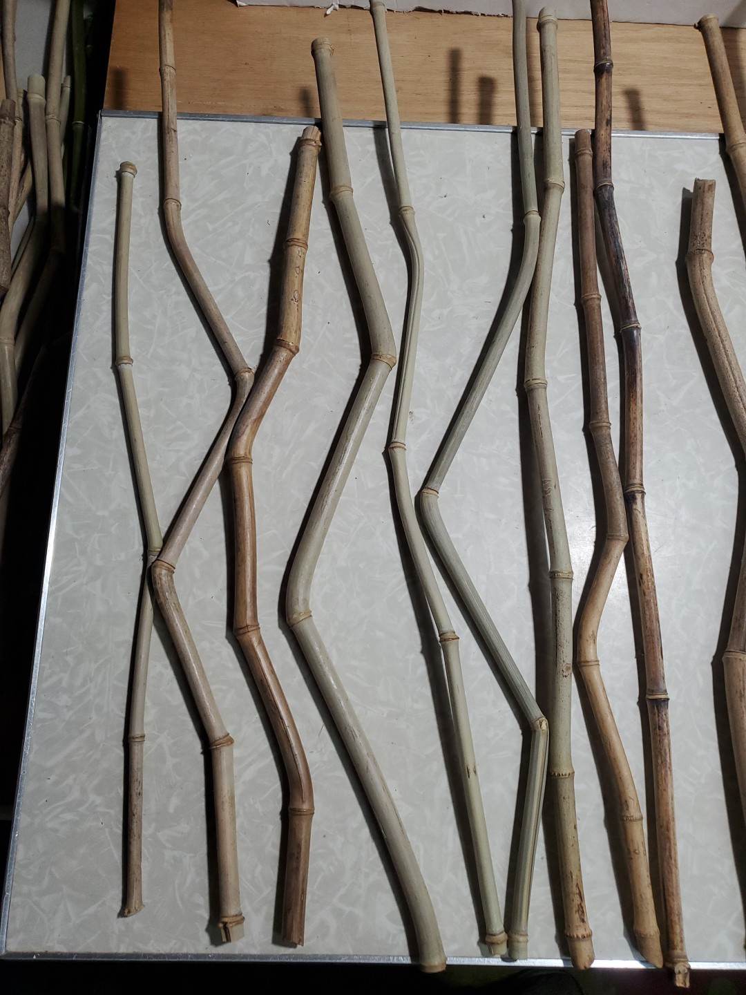 50 Decorative Grown & Processed in USA Crooked Stem/YellowG Bamboo 20-32″ Pieces