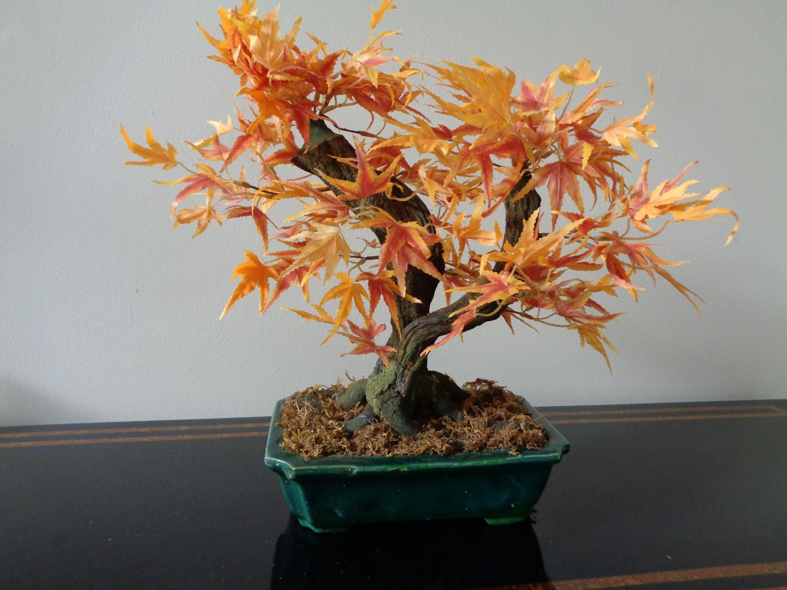 Maple Bonsai Silk Plant 16-Inch In Pot