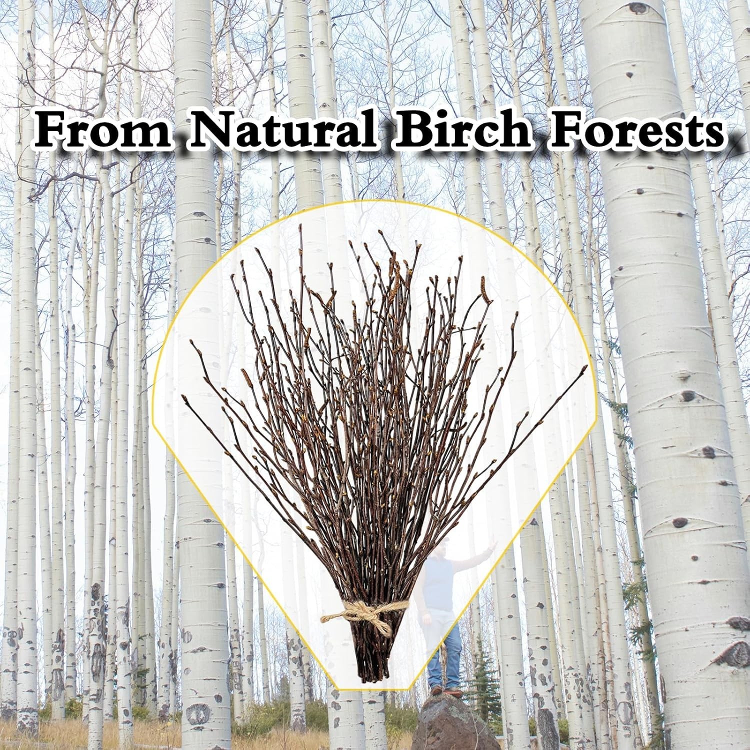Elevate Your Space with 30-Pcs 17-Inch Birch Twigs – Rustic Home Decor Staples